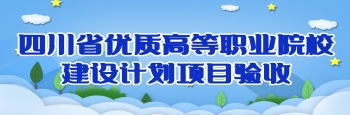 优质高等职业院校建设计划项目